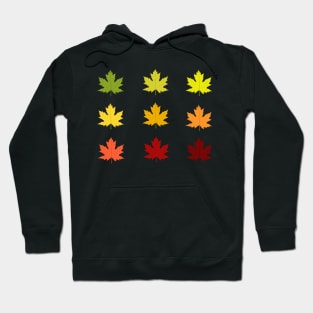 Colorful autumn leaves Hoodie